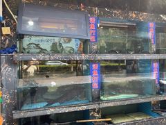 -浔味·山屿湖·正宗全鱼宴老字号