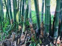 -晓港公园
