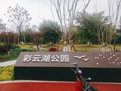 -重庆彩云湖湿地公园