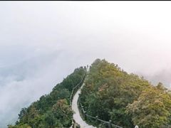 -梧桐山风景名胜区