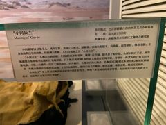 -北京大学赛克勒考古与艺术博物馆