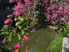 -龙潭水乡