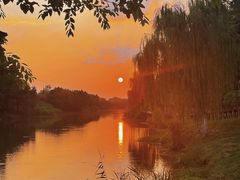 -合肥滨湖国家森林公园