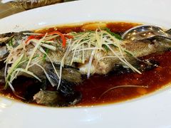清蒸石斑-鹏天阁酒楼·海鲜(红旗店)