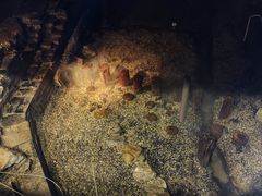 -元代水闸遗址博物馆