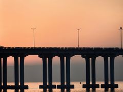 -宝安西湾红树林湿地公园