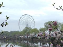 -无锡蠡湖国家湿地公园-蠡园