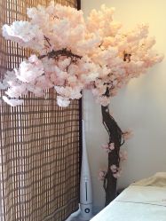 -至臻康妍健康管理中心