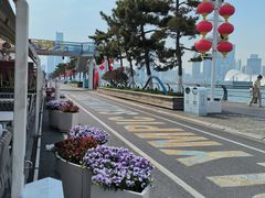-情人坝酒吧街