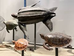 -自然博物馆(地铁站)