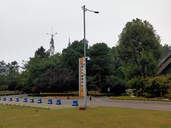 -铁山坪森林公园