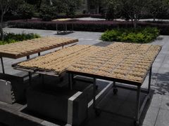 -西关竹园(荔枝湾店)