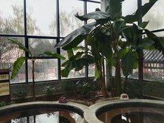 -太白山御龙湾温泉