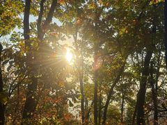 -吉林市朱雀山国家森林公园