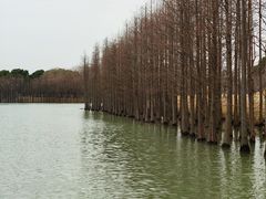 -苏州太湖国家湿地公园
