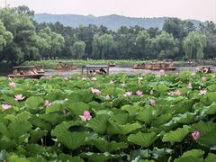 -承德避暑山庄景区