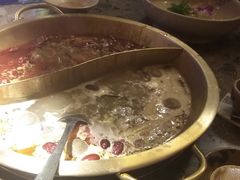 -小龙坎火锅(总店)