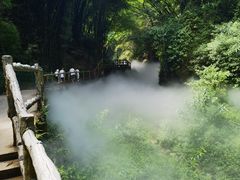 -川西竹海景区