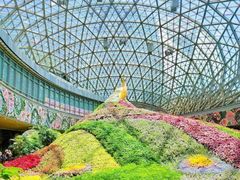 -花之城