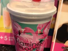-Flamingo Bloom(TST /尖沙咀店)