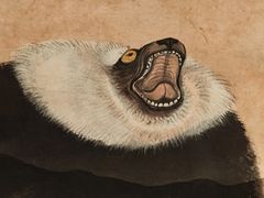 -清华大学艺术博物馆