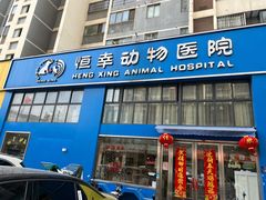 -恒幸动物医院·急重症转诊中心·神经内外科·CT核磁