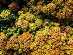 -洛阳白云山景区