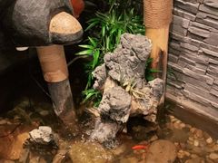 -南拳十三姨·潮汕砂锅粥(世纪金源店)