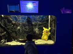 -邯郸海洋世界
