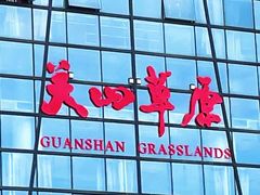 -关山草原