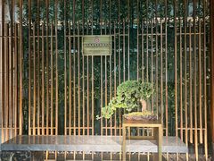 -浅深(北京北四环精品店)