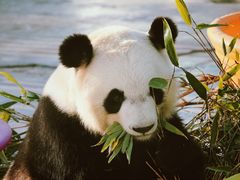 -鄂尔多斯野生动物园