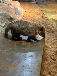 -Zoolung Zoolung动物主题公园(海信广场店)