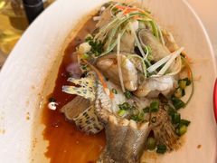 千岛湖桂鱼-宝荣鱼馆·临湖之宴(千岛湖店)