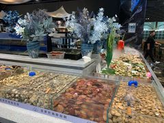 -圣罗巴海鲜自助(黑金店)