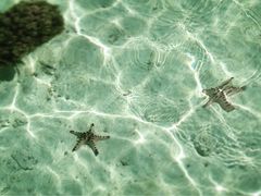 -卡帕莱度假村(西巴丹岛)
