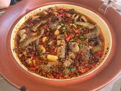 情妹耙泥鳅-情妹耙泥鳅·江湖川菜(科华店)