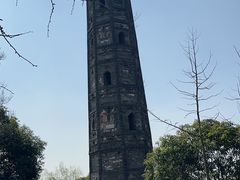 -上海佘山国家森林公园天马山园