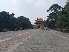 -北陵公园