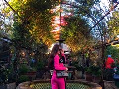 -The Grounds of Alexandria