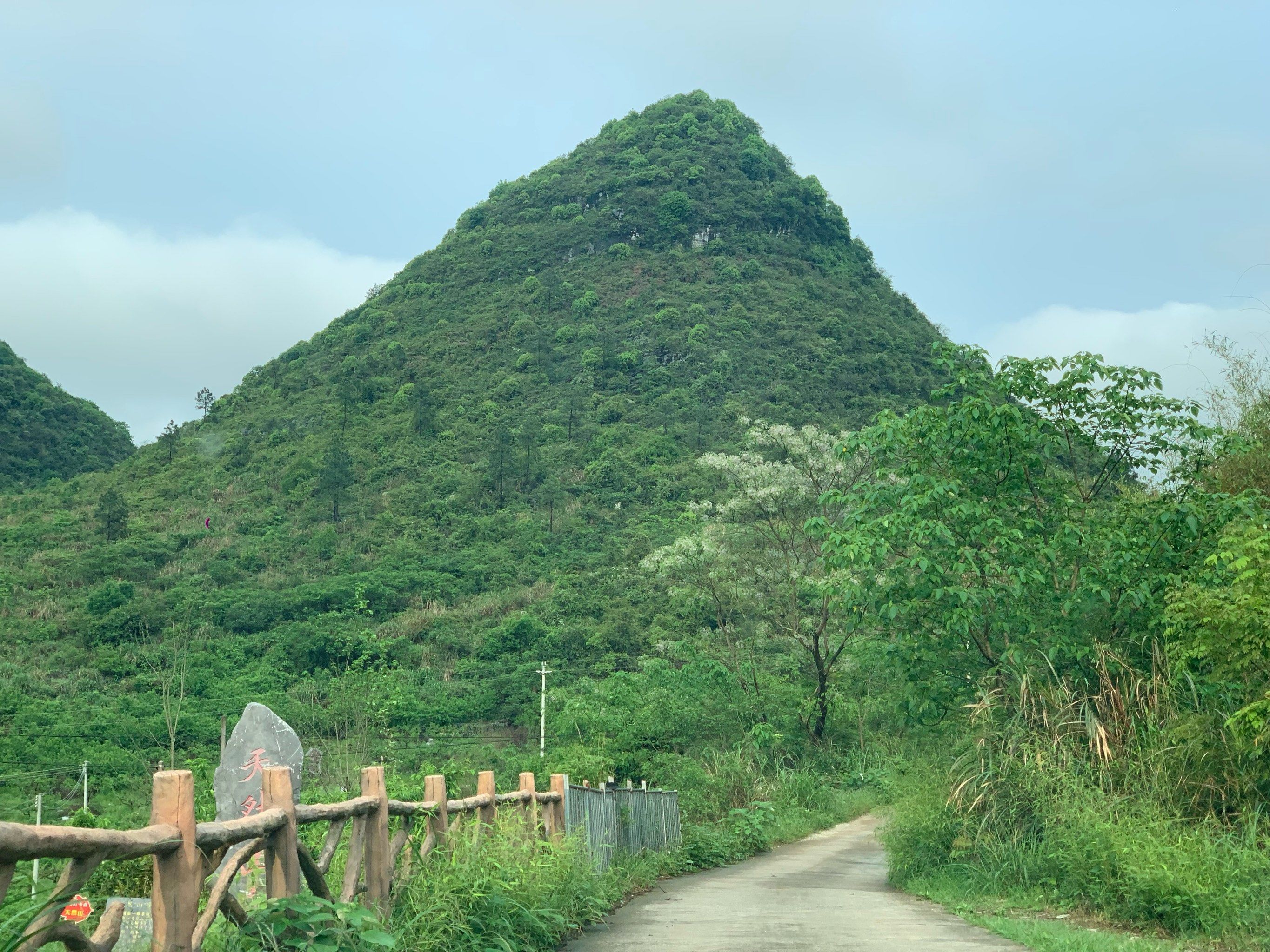 周末游 阳山靘雾山