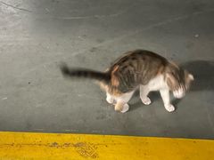 -白沙门生态公园