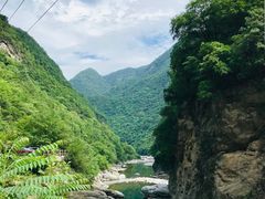 -黑河国家森林公园