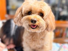 -元气寿司(环球港店)