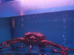 -月下料理(楷林IFC店)