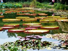 -国家植物园南园