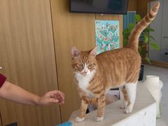 -北京恒爱动物医院(清景园分院)