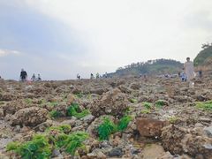 -小石岛景区