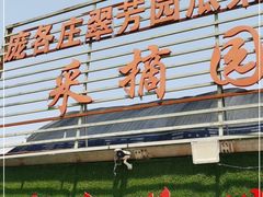 -庞各庄翠芳园西瓜蔬菜基地采摘园