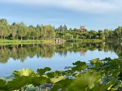 -东郊湿地公园
